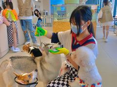 -怪兽屋·羊驼·猫咖·狗咖(俊华广场店)