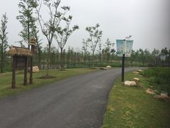 -上海长兴岛郊野公园