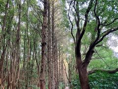 -同里国家湿地公园