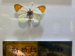 -上海昆虫博物馆