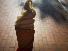 -蜜雪冰城·冰激凌与茶(瑞安吾悦店)