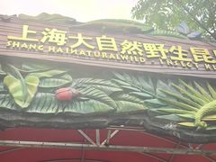 -上海大自然野生昆虫馆(东方明珠·爬宠昆虫探索中心)