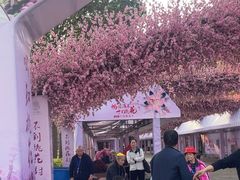 -南汇桃花村
