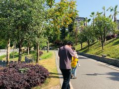 -枫香湖儿童公园