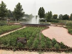 -意大利农场度假村