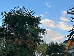 -白塘生态植物园