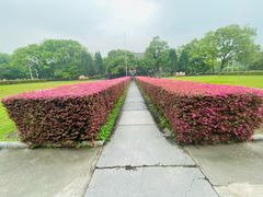 -桂林独秀峰王城景区