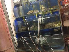 水产区-香满居张记小厨私房菜(青岛站店)