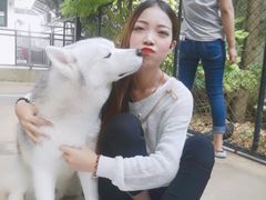 -TrueLove @ Neverland (Husky Cafe)