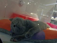-龟与熊猫宠物公园(南坪店)
