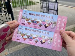 -鹅湖玫瑰文化园