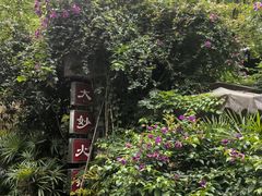 -大妙火锅·非物质文化遗产(东湖公园店)