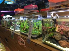 -龟与熊猫宠物公园(南坪店)