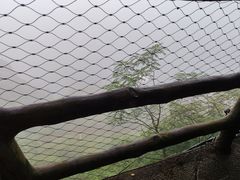 -仙岛湖旅游风景区