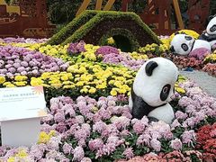 -南山植物园