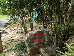 -中国科学院西双版纳热带植物园