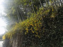 -南京东郊国宾馆