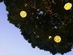 -泰堤坊(淡水体育馆店)