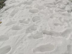 -大冬树山垭口