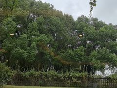 -潮府馆·非遗潮州菜·港式点心(世纪公园店)