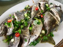 -蚝乡农庄(铁涌赤岸店)