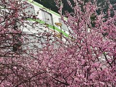 -李记串串香(李子坝店)