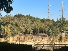 -光明港公园