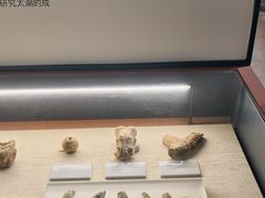 -三山岛