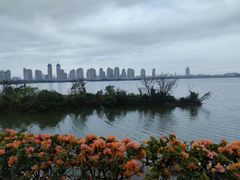 -厦门园林博览苑