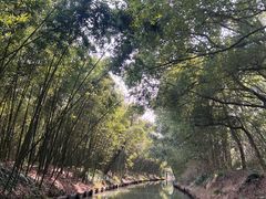 -同里国家湿地公园