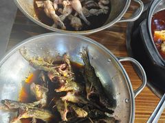 -金海椒罐罐鲢鱼(东方桂苑店)