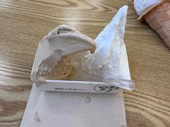 -野人先生Gelato(上海长宁龙之梦店)