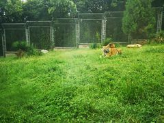 -西安秦岭野生动物园