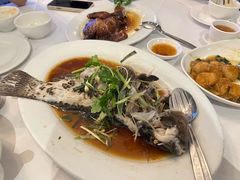 -食为先(Shark Fin)