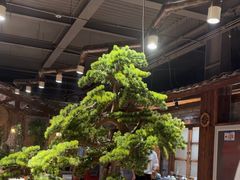-丹江渔村(首都机场店)