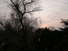 -西苑公园