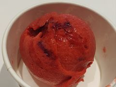 -哈根达斯(陆家浜路店)