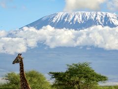 -乞力马扎罗山