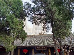 -罔极寺