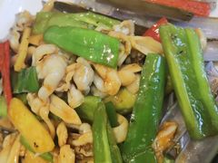 -新锦鸿(演达店)