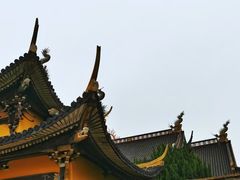 -江心屿景区