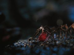 -MJ魔爵全机关真人密室逃脱(万达广场松江店)
