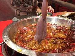 -谭鸭血老火锅(图书馆店)