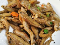 -全乐鱼馆·淳牌有机鱼直营店
