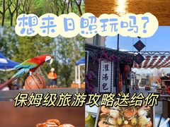 -渡海小渔村.老辈日照菜