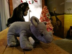 -ZOO COFFEE 动物园咖啡(亦庄店)