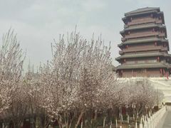 -西安汉城湖景区