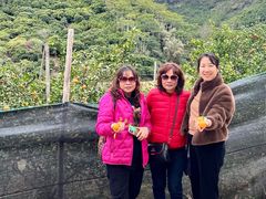 -玉龙寨旅游景区