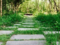 -青峰峡国家森林公园