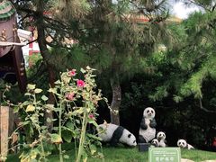 -新川办餐厅